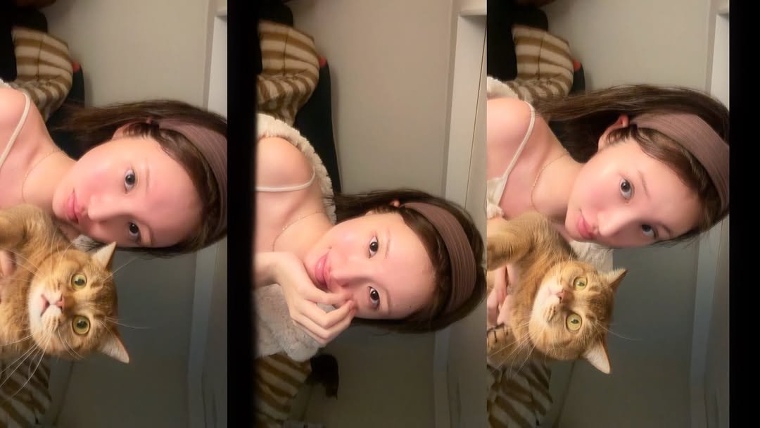 Photo by 하여니 on February 10, 2026. May be a selfie of Abyssinian cat, kitten and text.