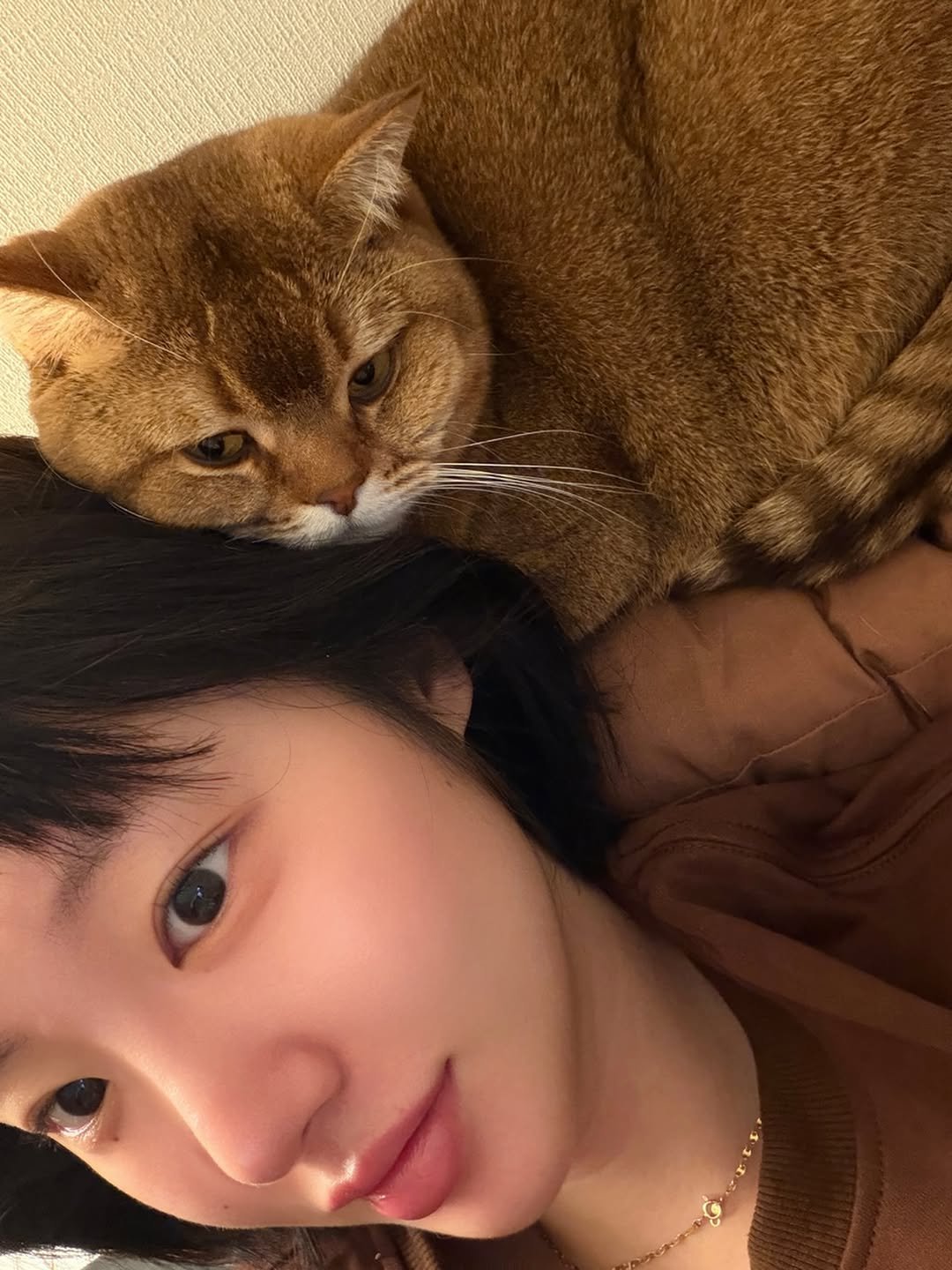 Photo by 하여니 on January 22, 2026. May be an image of Abyssinian cat, tortoiseshell cat, kitten and text.