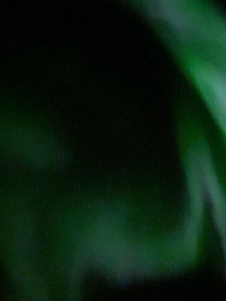 yyodavi 게시물 이미지: 로라보고 ~ 눈도보고 ~ 📍yellowknife