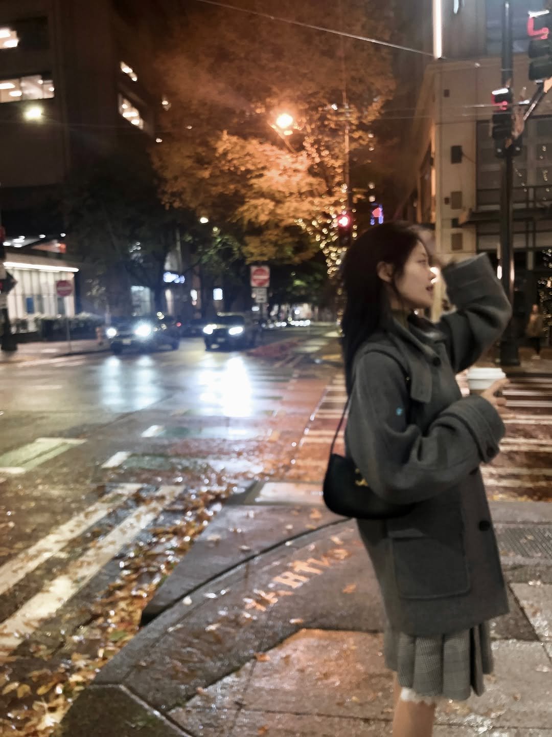 Photo by 우다비 on November 03, 2025. May be an image of duffle coat, overcoat, parka, street, night and text.
