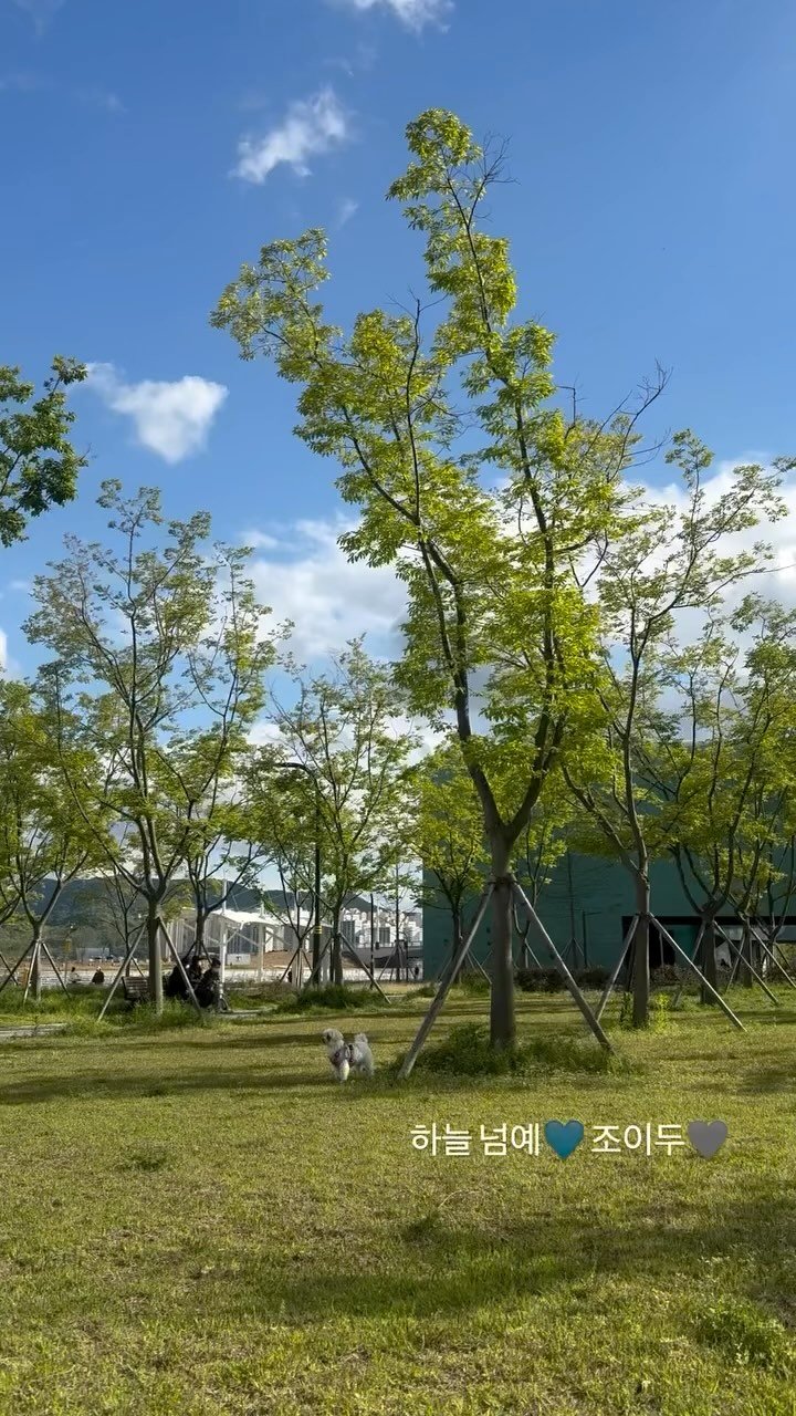 yyuujinhaa 게시물 이미지: 