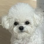 biyaaaa 프로필 사진
