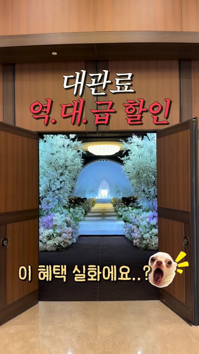 z_zunnn 게시물 이미지: #광고

호텔 예식 좋아하는 예신님들 여기 주목💗

삼성역 도보 8분,
고급스러운...