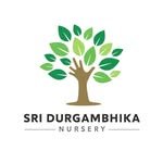 sri_durgambhika_nursery 프로필 사진