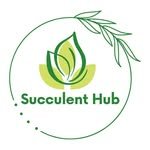 _succulent_hub_india 프로필 사진