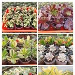 psjknursery_ 프로필 사진