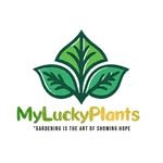 myluckyplants01 프로필 사진