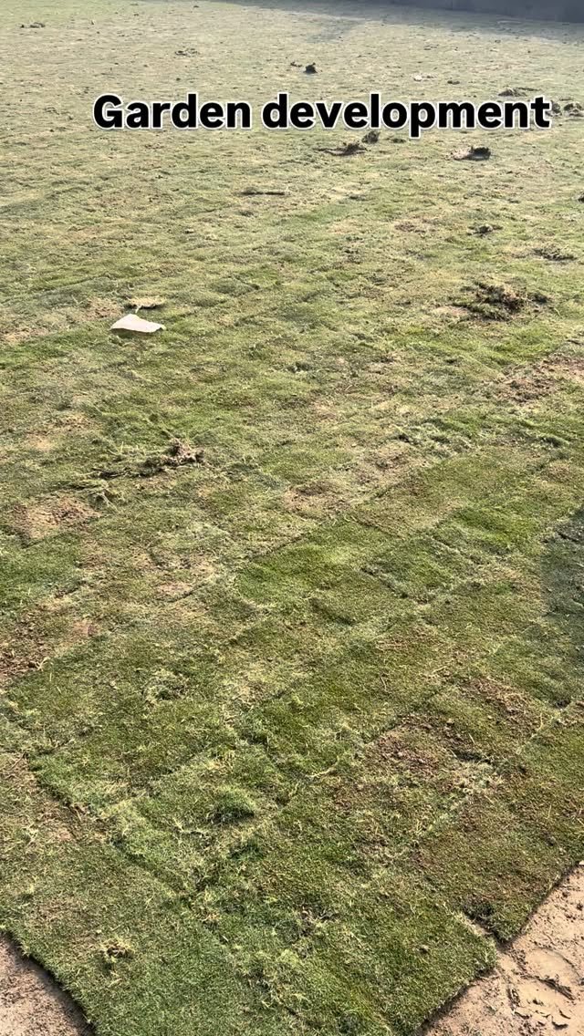 zainul_nursery 게시물 이미지: Garden development