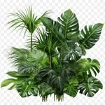 wholesale__nursery 프로필 사진