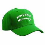 haryana_nursery 프로필 사진