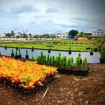 nirman_nursery_ 프로필 사진