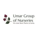 umargroupofnurseries 프로필 사진