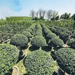 engineers_nursery 프로필 사진