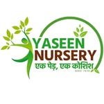 yaseennursery_1978 프로필 사진