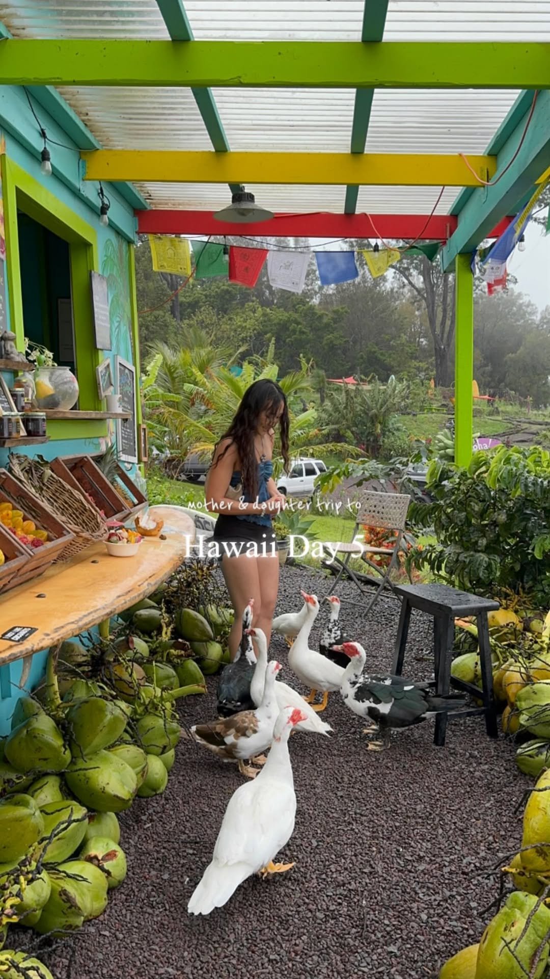 zal.fitlife 게시물 이미지: 쟐미 in Hawaii Day 5

오늘은 힐로 여행 제대로 할 수 있는 딱...