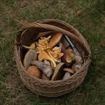 hopetoun.cottage 프로필 사진