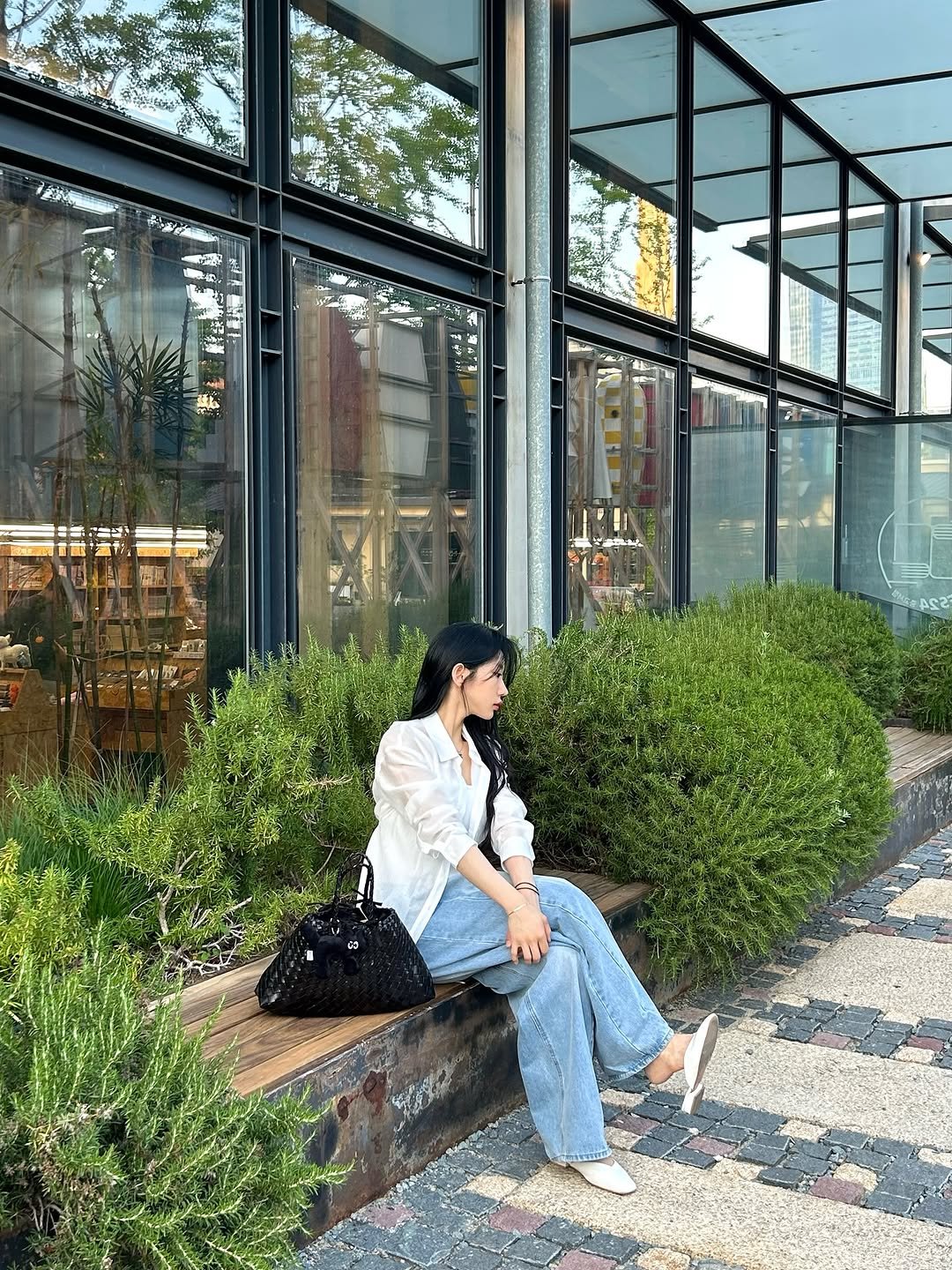 zaragobook 게시물 이미지: 🐱🌿🎈