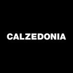 calzedonia 프로필 사진