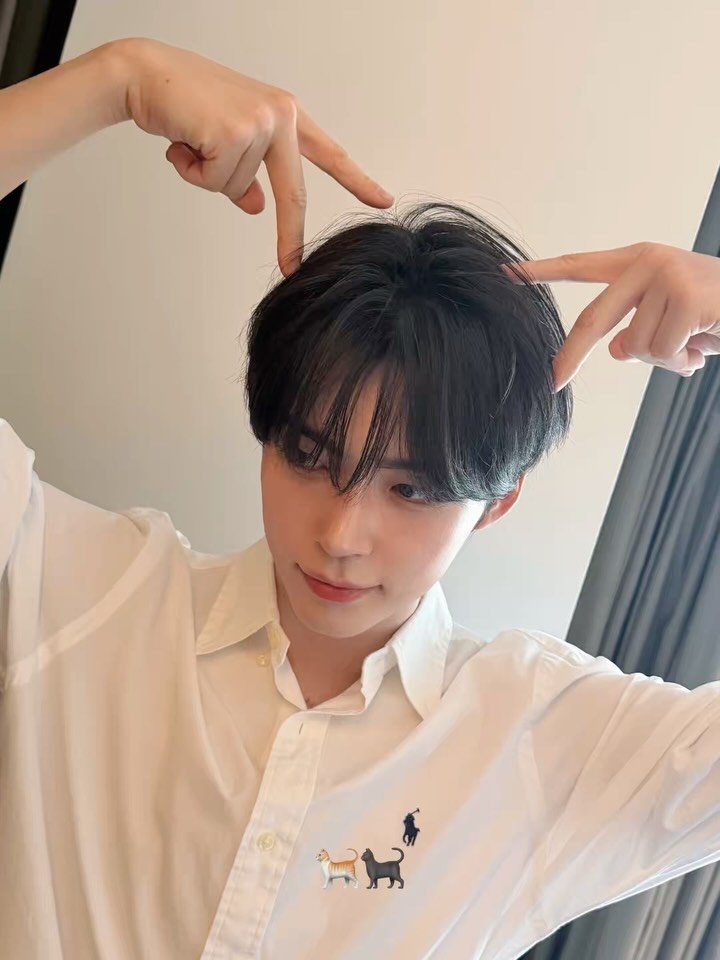 zb1official 게시물 이미지: 🐈🐶🐻🦋🪼🐹🧊

#ZEROBASEONE #SUNGHANBIN