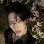 rickyshenquanrui 프로필 사진