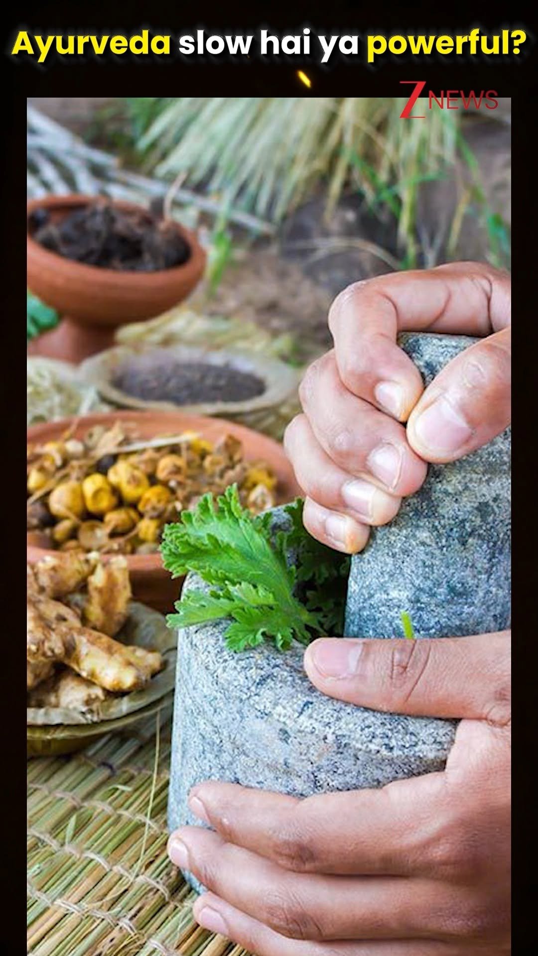zeenews 게시물 이미지: Special Feature: Ayurveda slow hai ya powerful?