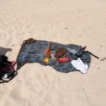 cha__ssol 프로필 사진