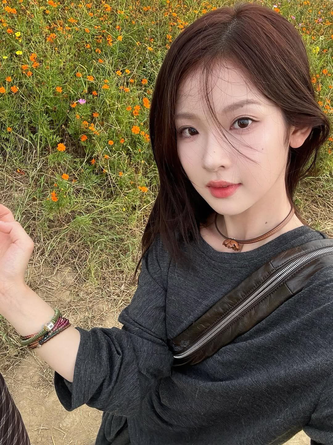 Photo by 张淼怡 on October 10, 2025. May be an image of baby's-breath and outdoors.