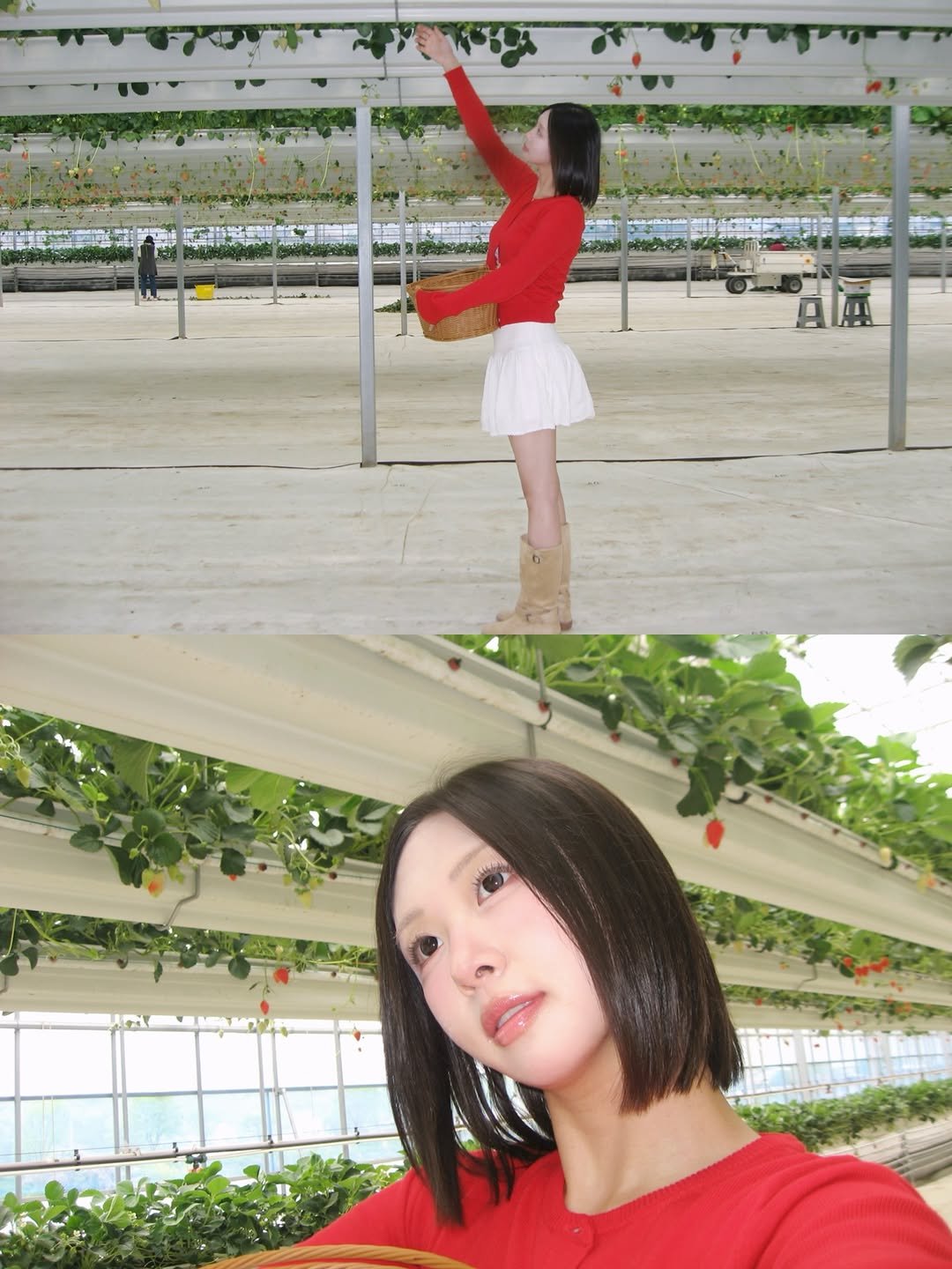 zihyekiki 게시물 이미지: 🍓🍓🍓🍓🍓

#룩북 #데일리룩 #oodt #코디 #에이블리