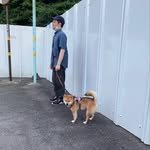 inotac_db 프로필 사진
