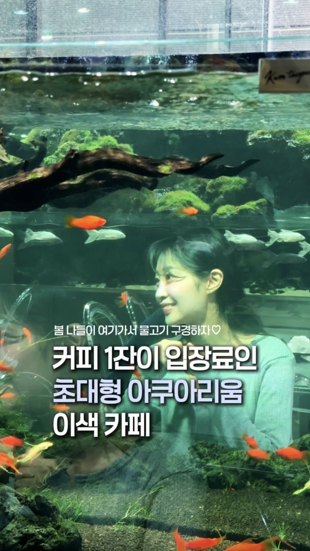 zinoo_travel 게시물 이미지: 6,800원 커피만 사면 아쿠아리움 입장 공짜인 카페?🔥
(📌저장하고 주말까지...