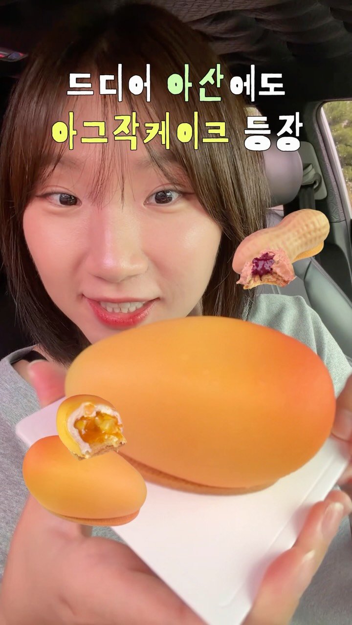 zintol_ 게시물 이미지: 아산에도 아그작 케이크가 생겼대요… 혹시 나만 이제 안 건가요?🥹

인스타에서 땅콩...