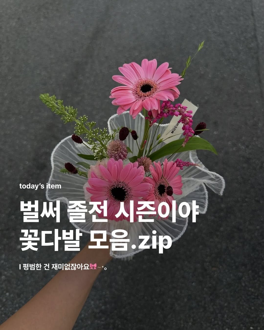 Photo by 집 매거진 on November 21, 2025. May be an image of flower arrangement, bouquet, scorpion grass, baby's-breath, prairie gentian, rose and text that says 'today's item 벌써 졸전 시즌이야 꽃다발 모음 모음.zip .zip 평범한 건재미없잖아요!!*. 건 재미없잖아요'.