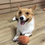 baekbeombyeon 프로필 사진