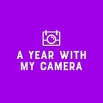 ayearwithmycamera 프로필 사진