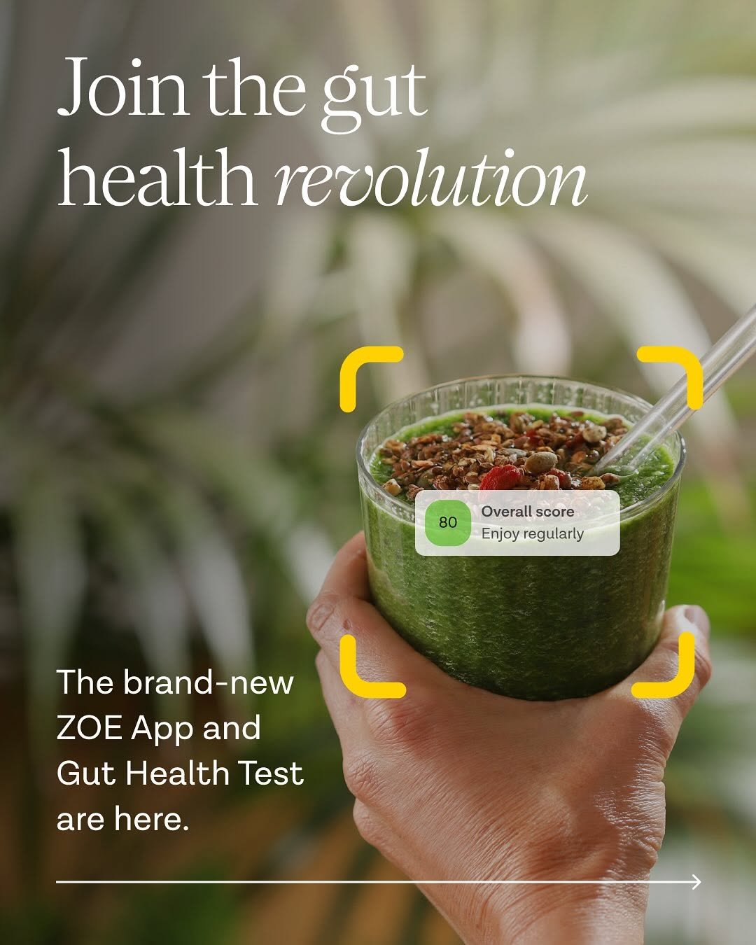 Photo by ZOE | Science & Nutrition on September 17, 2025.