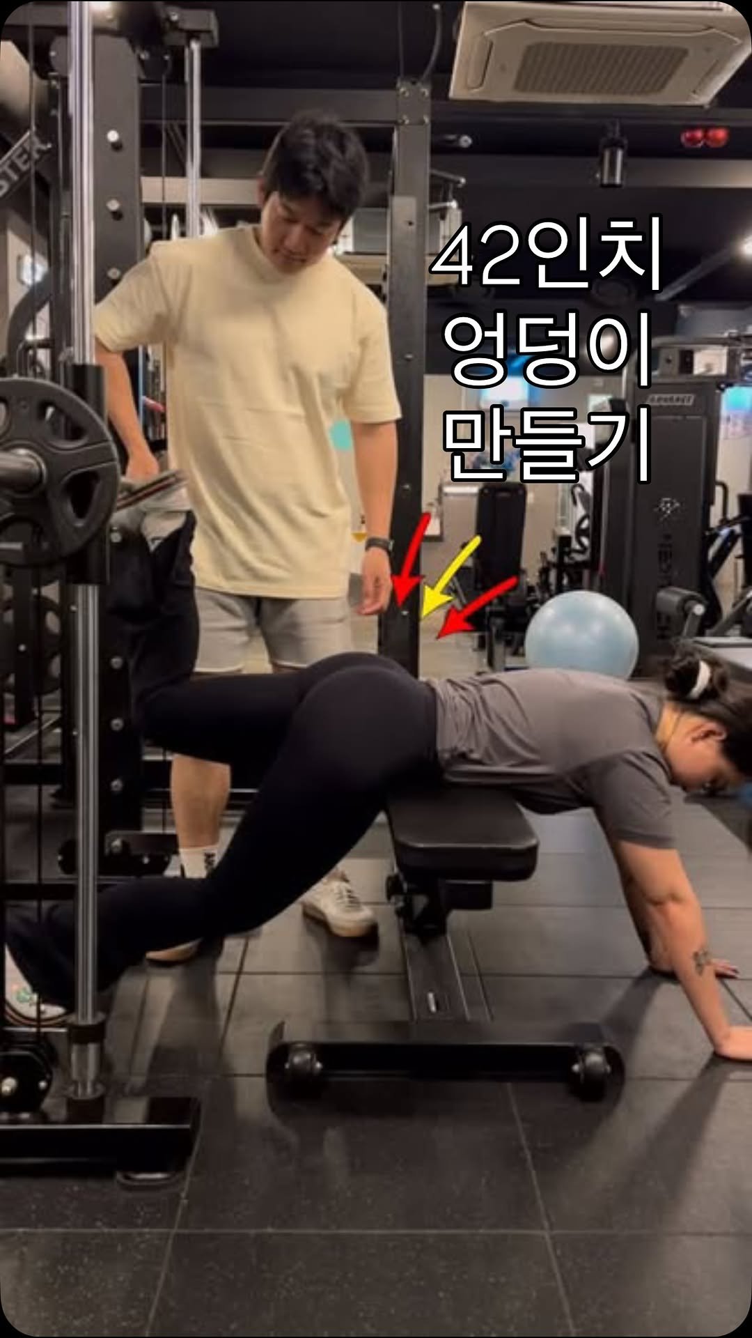 zonieter 게시물 이미지: 여성 종목 선수라면
힙운동은 무조건 따로 빼서
목적에 맞게 운동 해야...