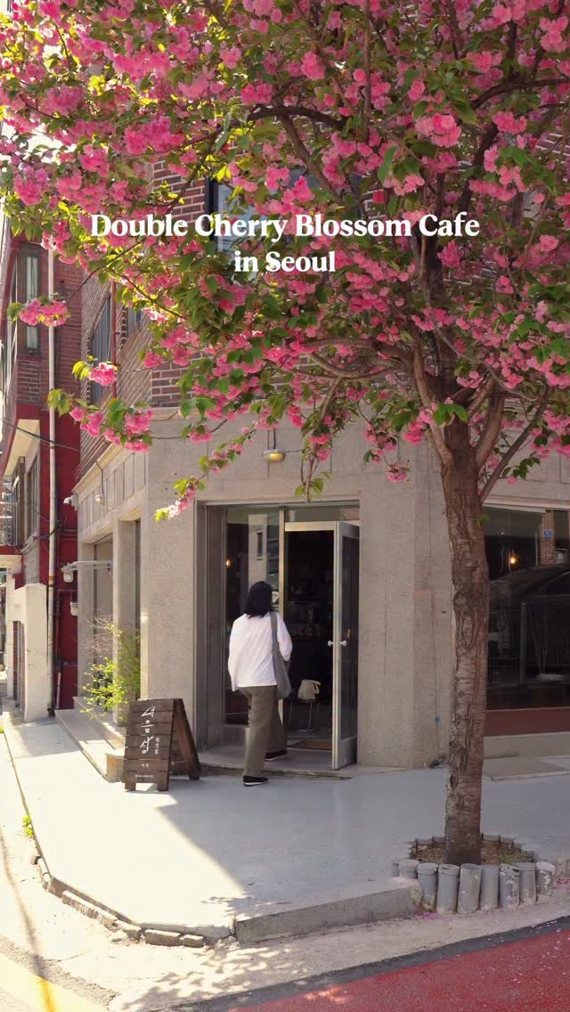 zoo_sorok 게시물 이미지: 만개한 분홍빛 겹벚꽃이 한들거리는 카페🌸🌸

만개한 분홍빛 겹벚꽃을 
즐길 수 있는...