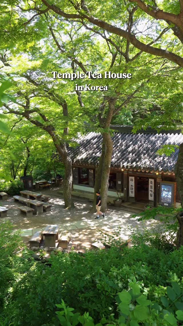 zoo_sorok 게시물 이미지: 천년 사찰 안, 마음이 평온해지는 찻집🌿

1600년 넘은 역사를 지닌
전등사 안에...