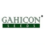 gahicon_seeds 프로필 사진