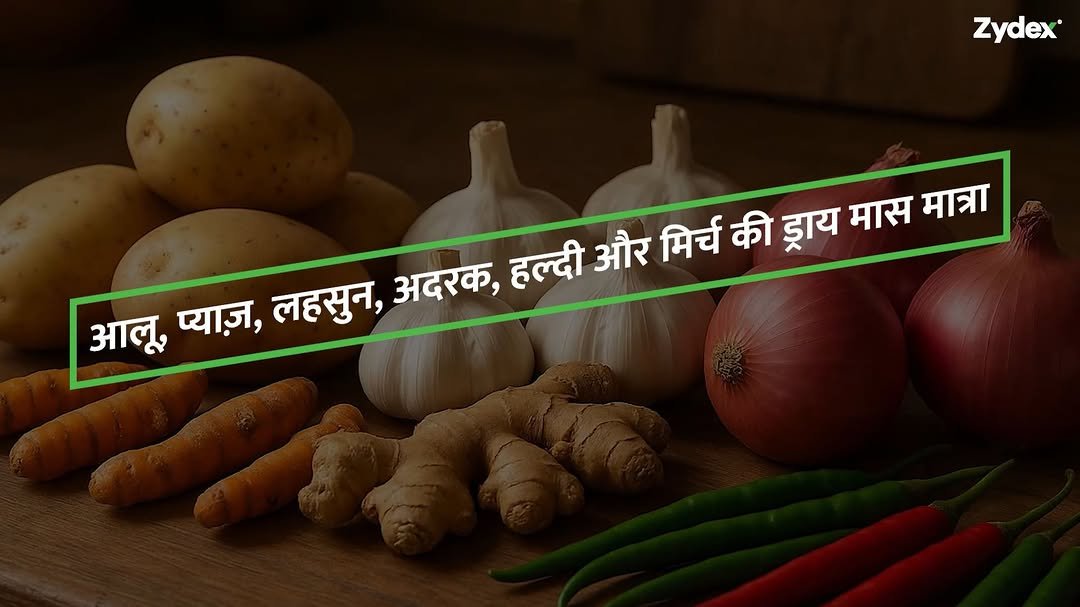 zydexagrisolutions 게시물 이미지: फसल की असली ताकत केवल उत्पादन में नहीं, बल्कि...
