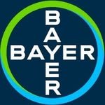 bayeragro 프로필 사진