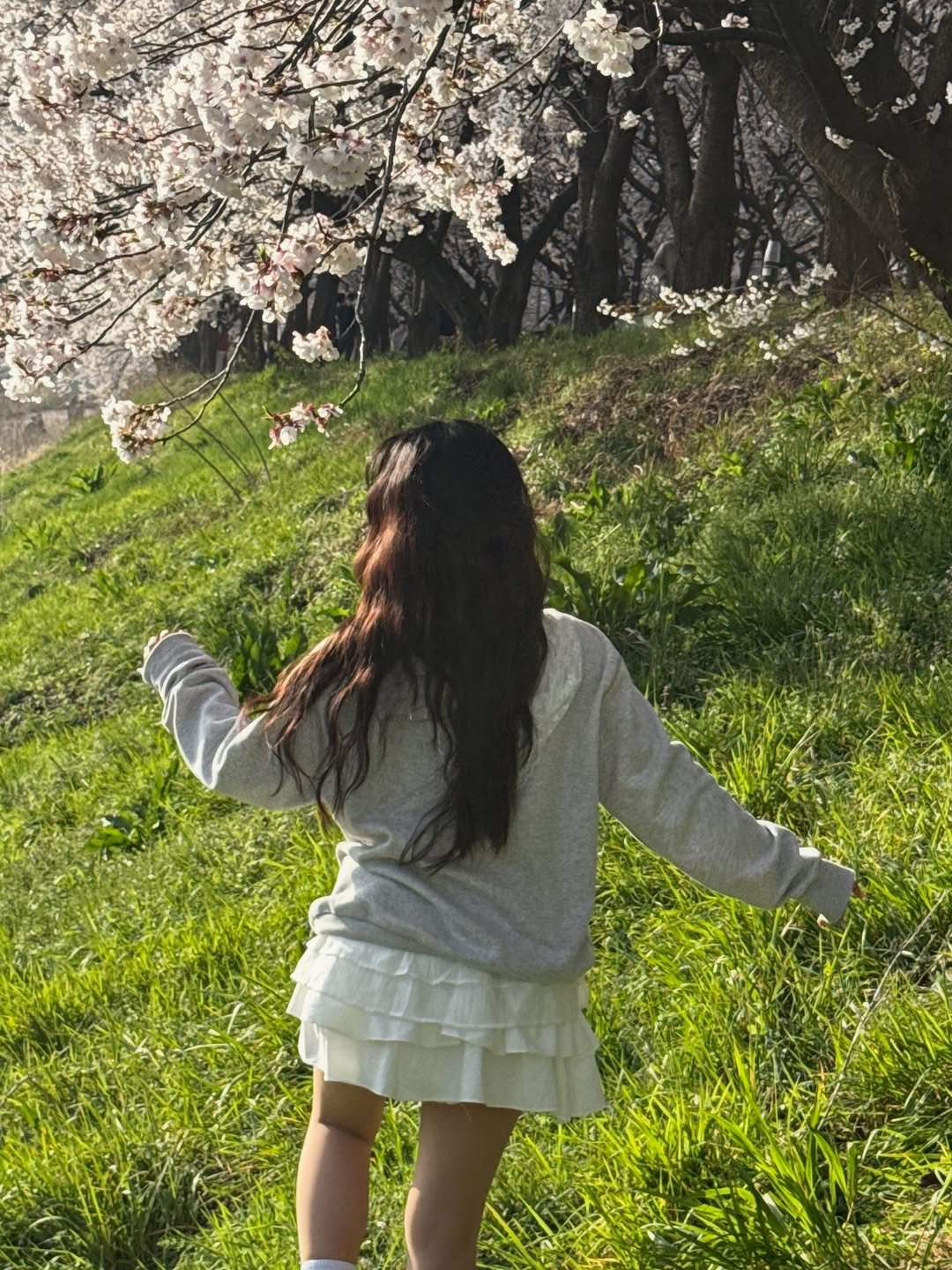 Photo shared by 지히지히 on April 12, 2026 tagging @zeekaboo0.0. May be an image of stone-fruit tree, grass and text.