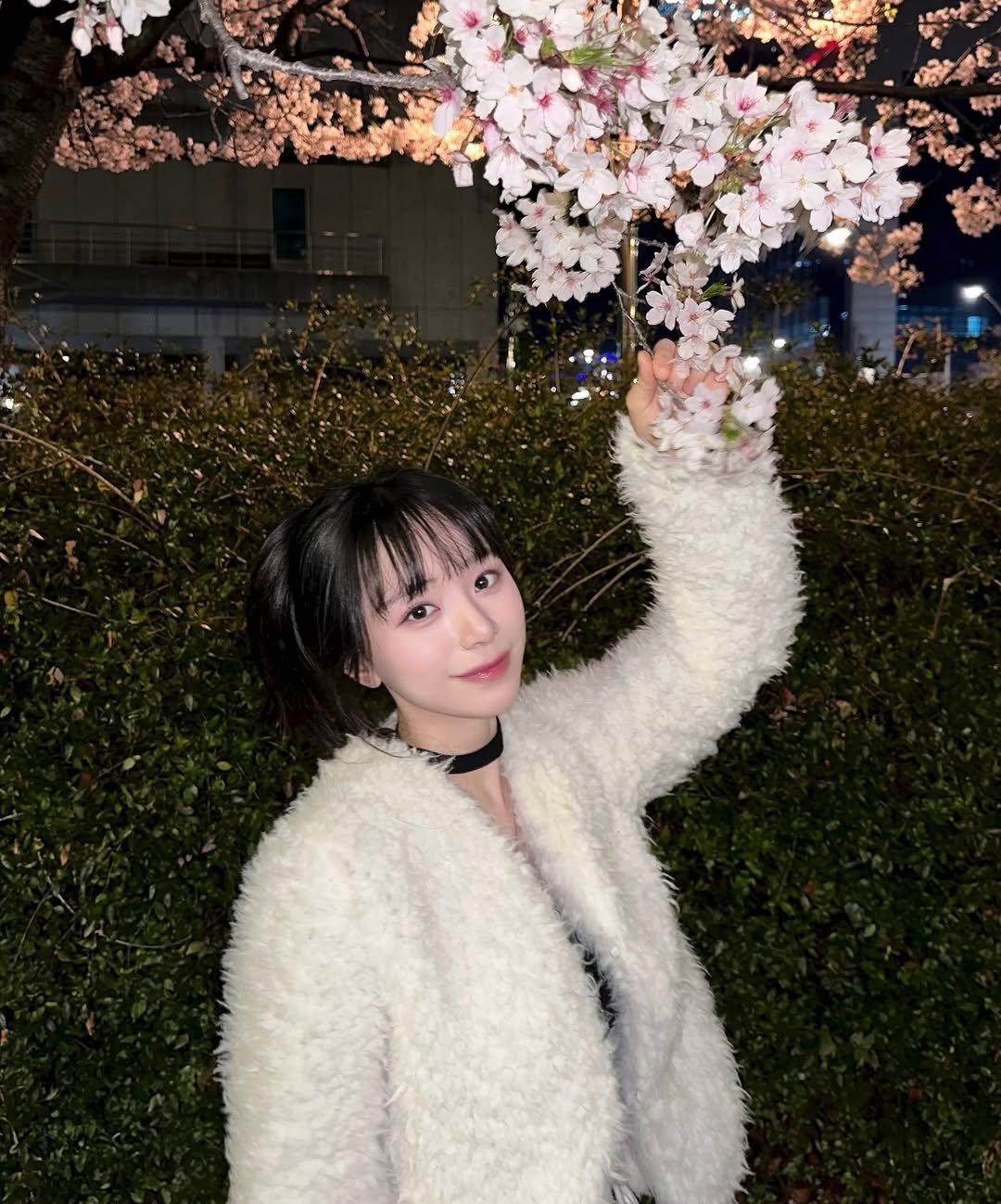 zzaen_0_ 게시물 이미지: 벚꽃이랑 사진 찍으려면 묘기 부려야함 ••