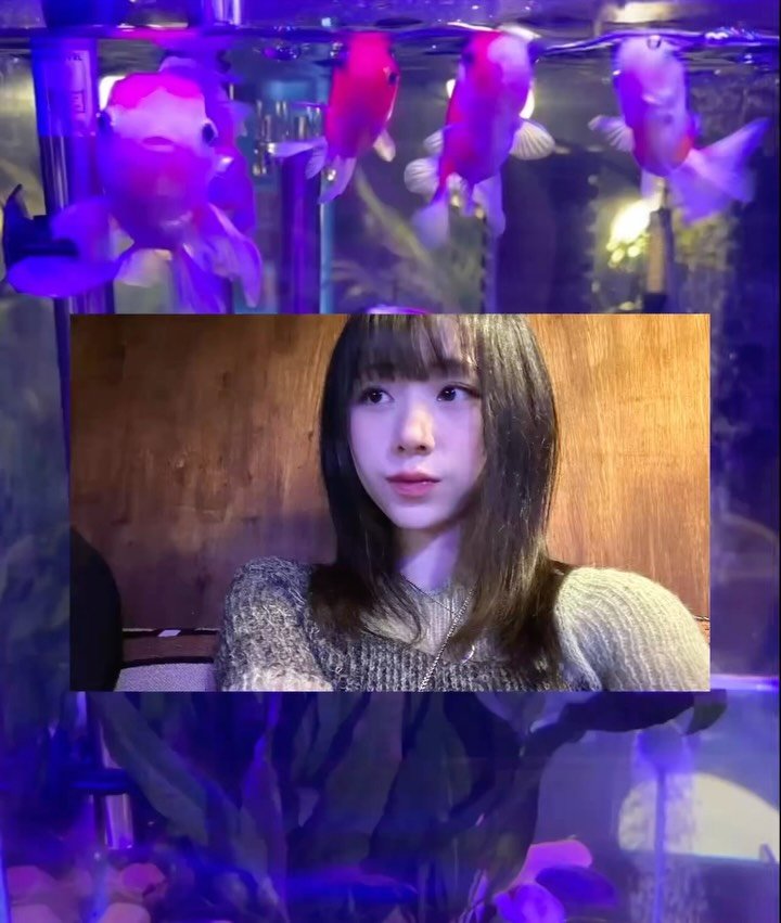 zzaen_0_ 게시물 이미지: 나 밥주는 사람 아닌데 ｡｡ 🐟