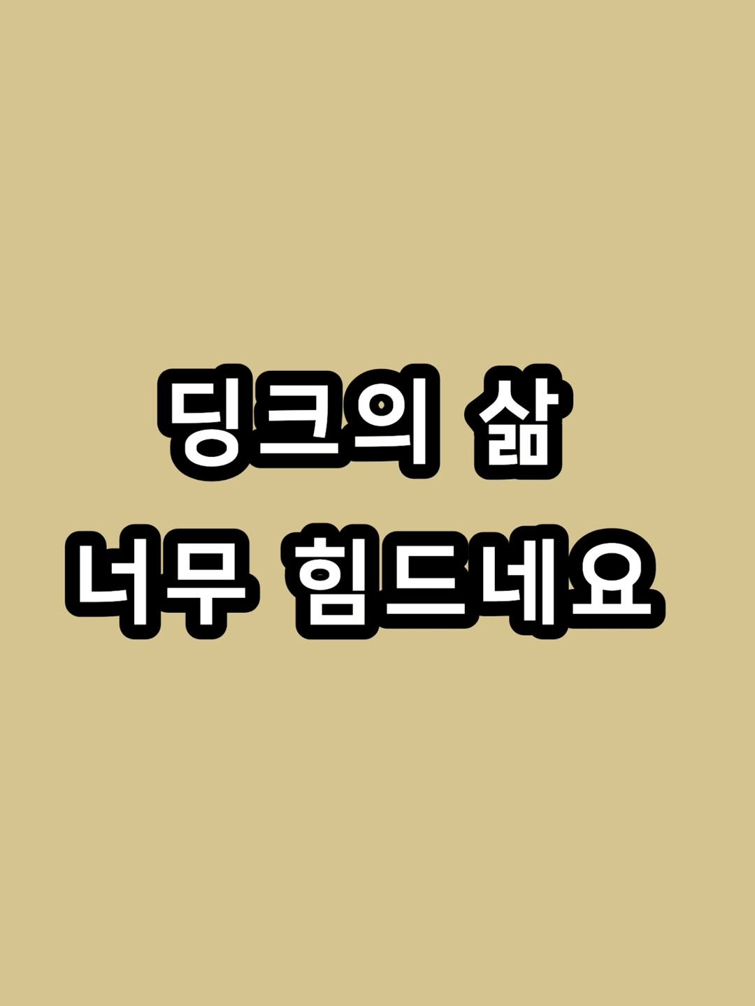 zzal_oppa_ 게시물 이미지: 딩크의 삶 너무 힘드네요