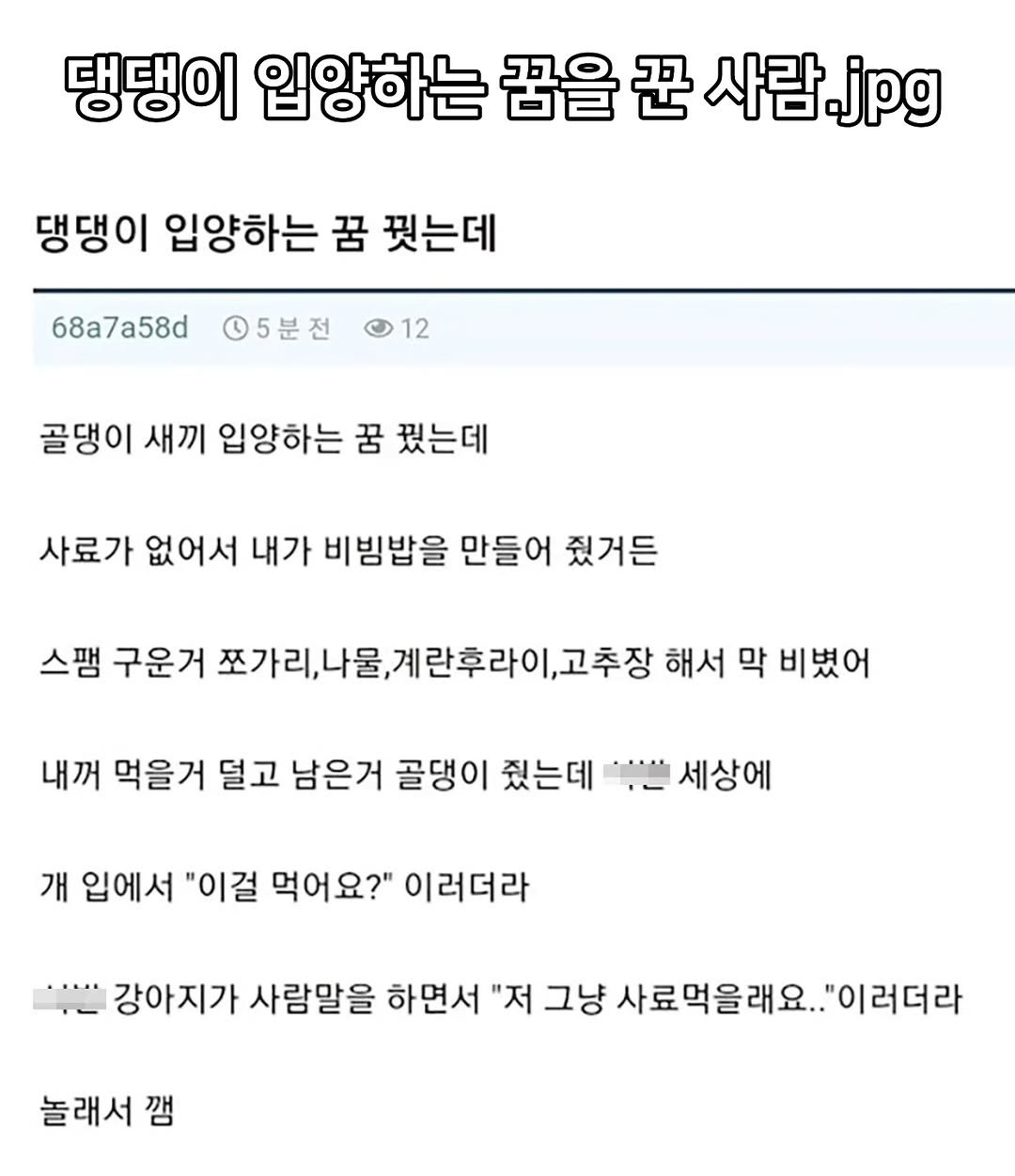 Photo by 짤오빠 on December 09, 2025. May be an image of text that says '댕댕이 입양하는 꿈을 꾼 사람.jp 댕댕이 입양하는 꿈 핏는데 68a7a58d 5분전 12 골댕ㅇ 새끼 입양하는 꿈 꿨는데 사료가 없어서 내가 비빔밥을 만들어 줬거든 스팽 구운거 쪼가리, ,계란후라이 고추장 해서 막 비뻤어 내꺼 먹을거 덜고 남은거 골댕이 줬는데 세상에 개 입에서 "이걸 먹어요?" 이러더라 강아지가 사람말을 하면서 "저 그냥 사료먹을래요.. "이러더라 놀래서 깽'.