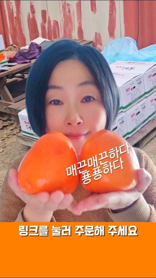 zzangunni__ 게시물 이미지: 매끈!! 당도 높은 대봉감 주문받아요🍊

🍊 제철 대봉감 수확 완료!

달콤하고...