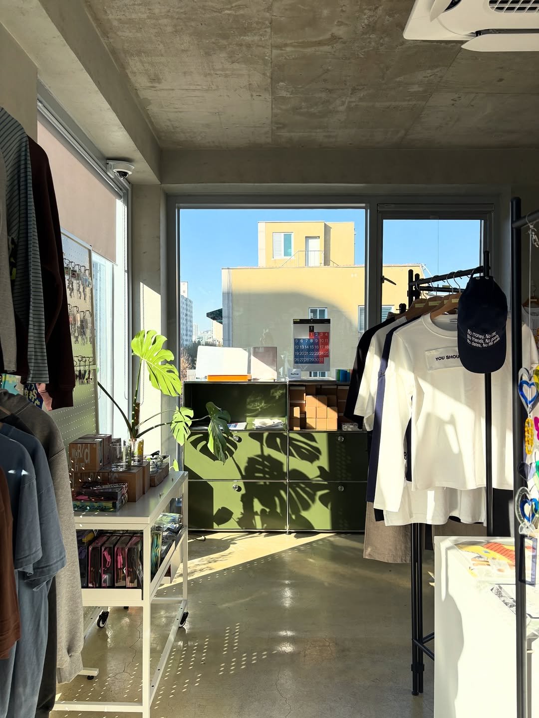 Photo shared by Jieun Yang on December 20, 2025 tagging @orgd.info, and @orgd.space. May be an image of cornflower and text.